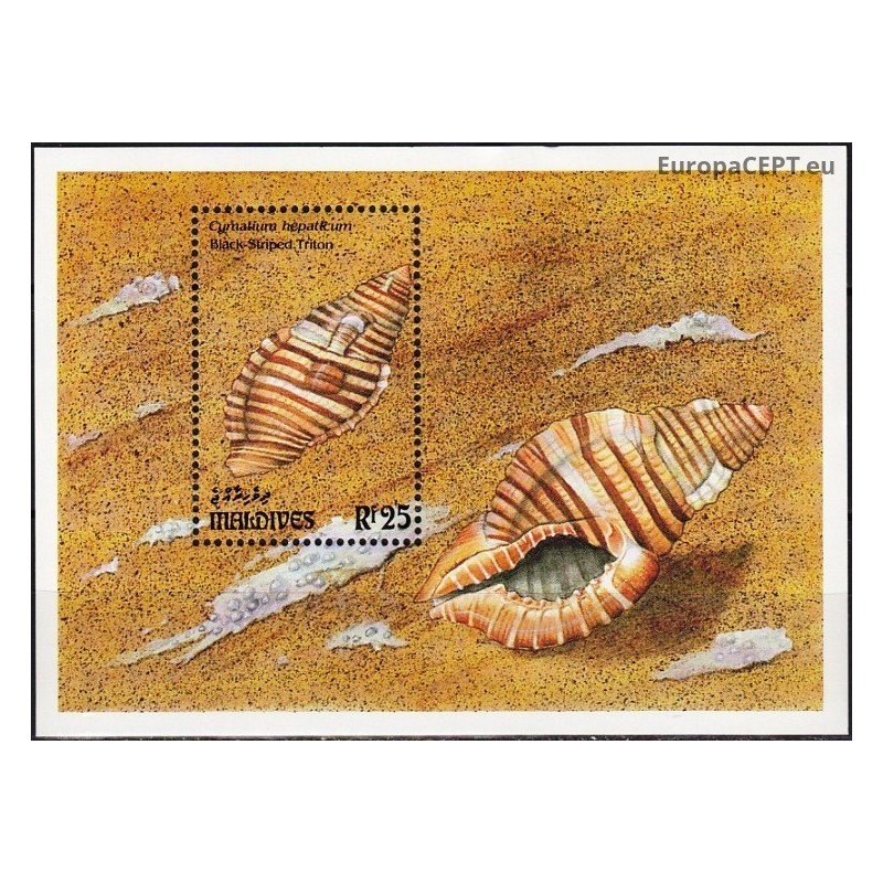 Maldives 1993. Sea shells