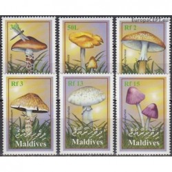 Maldives 2001. Mushrooms