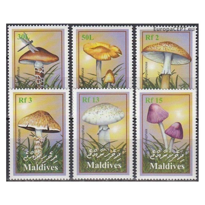 Maldives 2001. Mushrooms