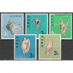 Ryukyu Islands 1967. Sea shells