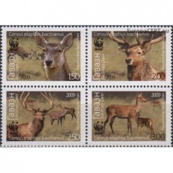 Tajikistan 2009. Deers