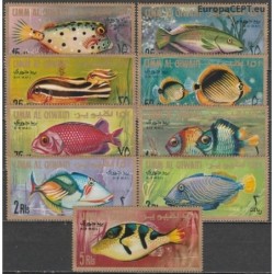 Umm al-Qiwain 1967. Fishes