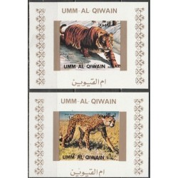 Umm al-Qiwain 1972. Wild cats