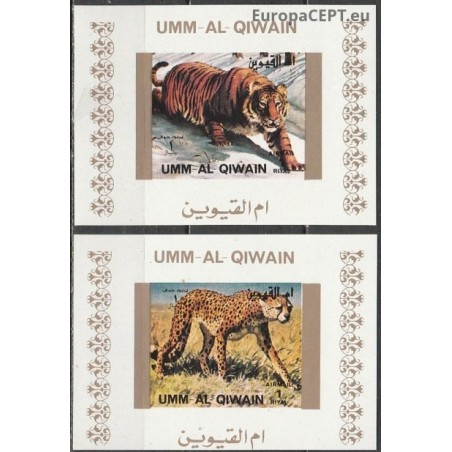 Umm al-Kuvainas 1972. Laukinės katės