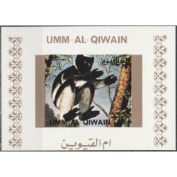 Umm al-Qiwain 1972. Monkey