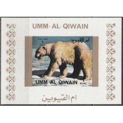Umm al-Qiwain 1972. Polar bear