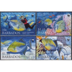 Barbadosas 2006. Žuvys (Raguotės)