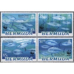 Bermudai 2004. Tunai