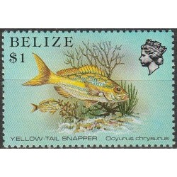 Belize 1984. Fishes...