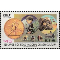 Chile 1988. Agriculture, food industry