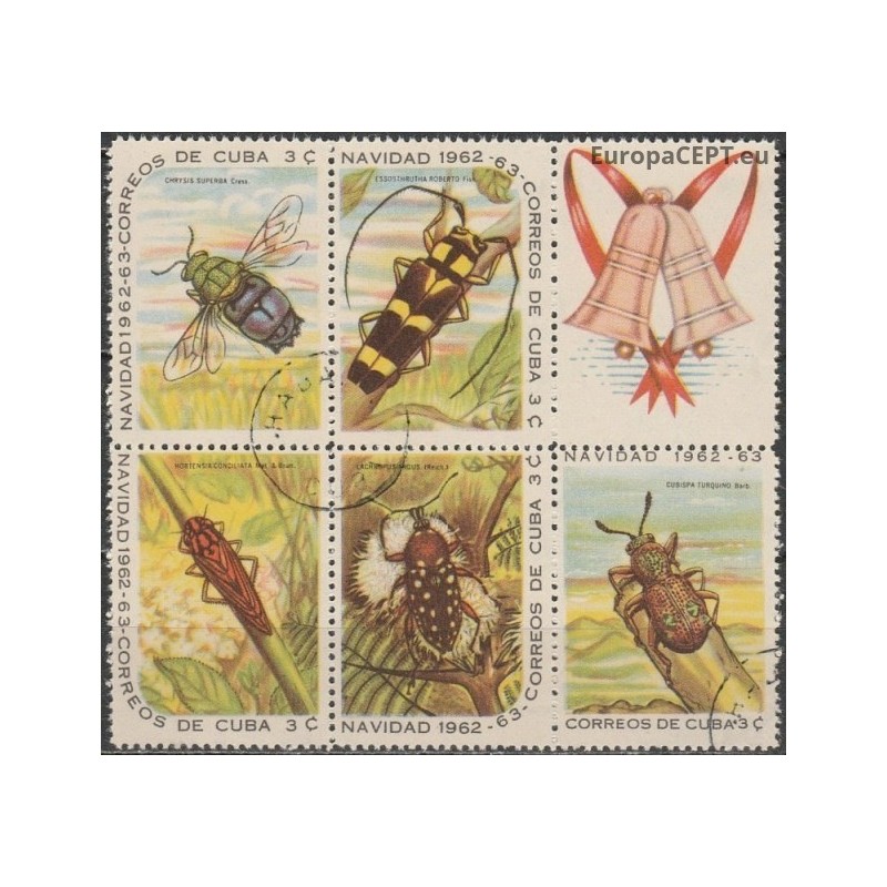 Carribean 1962. Insects