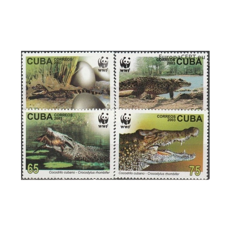 Kuba 2003. Krokodilai