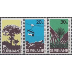 Surinam 1972. Forestry