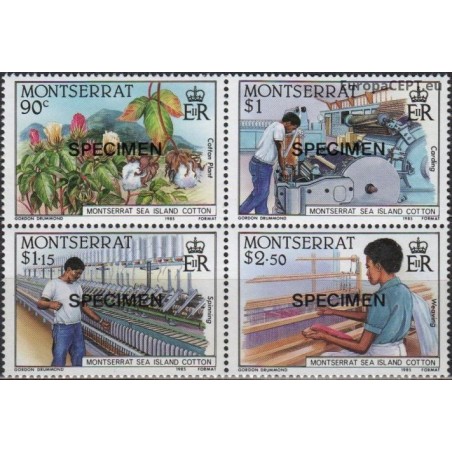 Montseratas 1985. Medvilnės pramonė