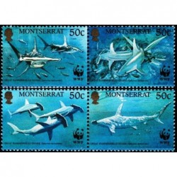 Montseratas 1999. Rykliai